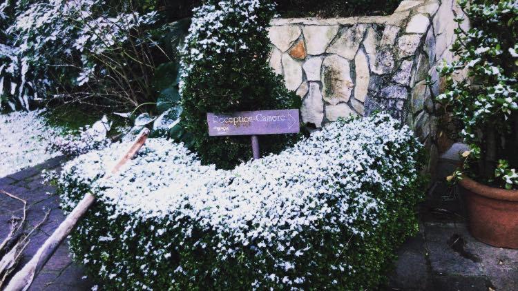 Agriturismo Terre Delle Monache Pontecagnano Eksteriør bilde